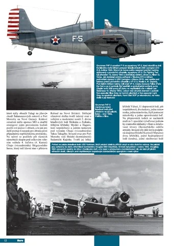 138.Grumman F4F-3 a F4F-3A Wildcat, Bitva v Korálovém moři 4.část (M.Šnajdr)
